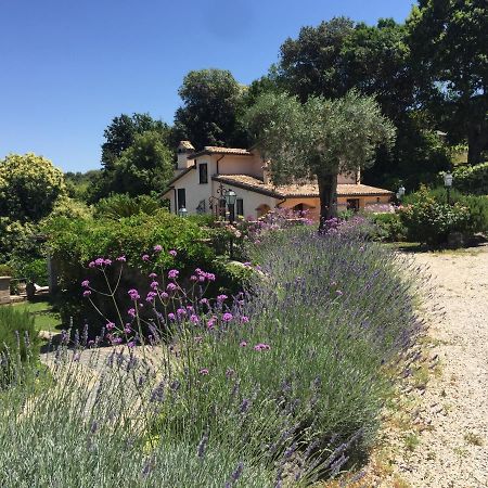 Olivella Villa Campagnano Di Roma Exterior photo