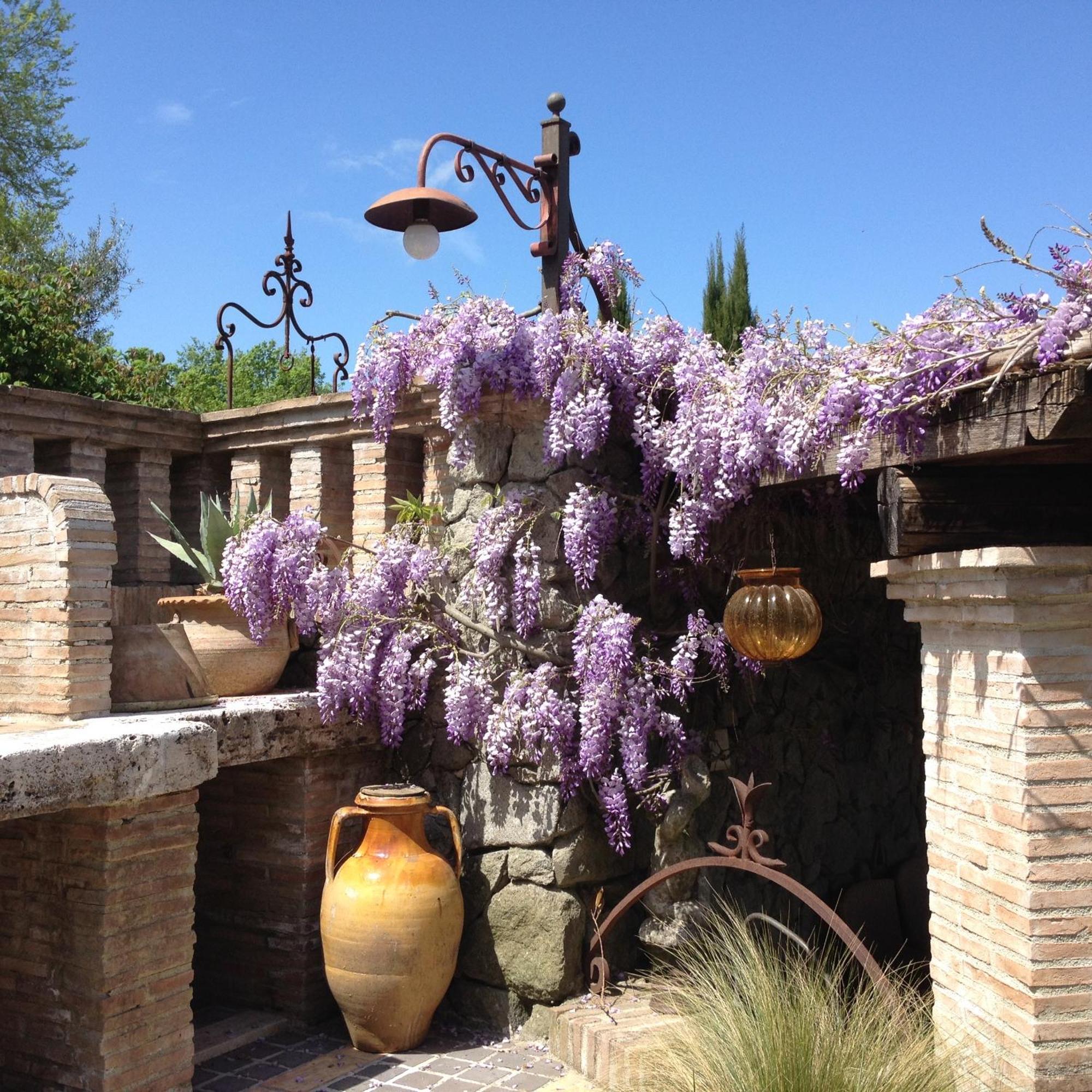 Olivella Villa Campagnano Di Roma Exterior photo
